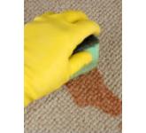 General & Initial Cleaning Services
