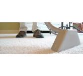 Carpet Cleaning